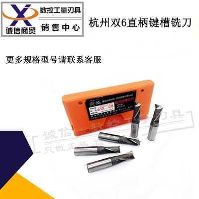 杭州双六双6直柄键槽铣刀3 4 5 6 8 10 12 14 16 18 20两刃