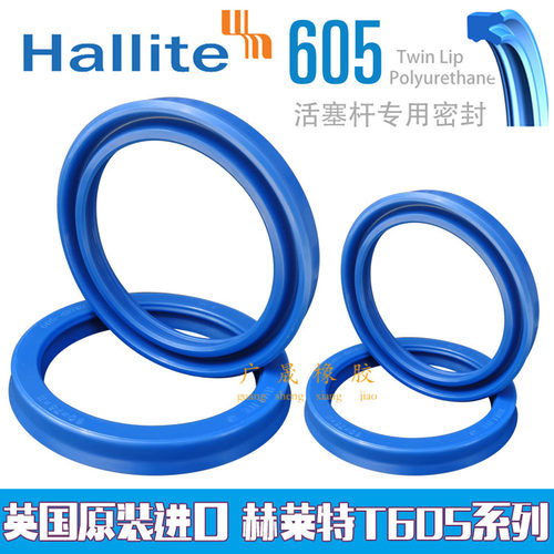 Hallite 赫莱特进口英国H605双唇油封55*65 68 70 75*7 8 9 11 13