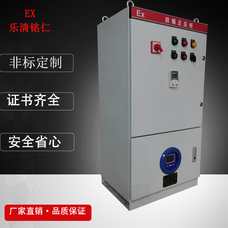 PXK防爆正压柜通风型 PLC 变频器控制柜 防爆配电箱 防爆电气箱