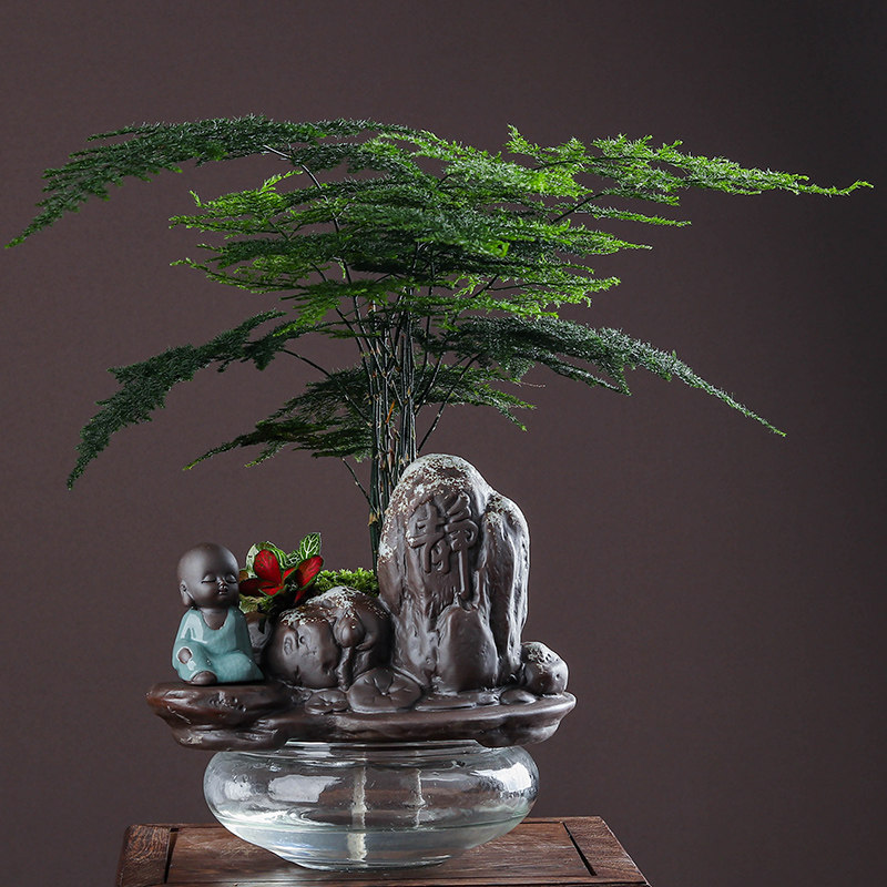 创意自动吸水懒人花盆文竹盆栽厂家直销陶瓷个性玻璃带托办公桌面