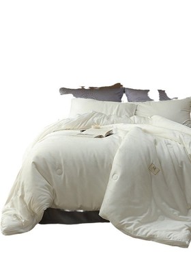 60支木本提花轻奢大豆    子母被 150x200cm 大豆子母被 白色