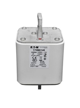 170M6813D 170M6814D 170M6892D 170M8554D原装陶瓷熔断器 保险丝