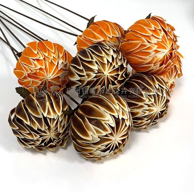 【牡丹球】宝莲灯干花植物手工艺术家居软装装饰拍摄道具