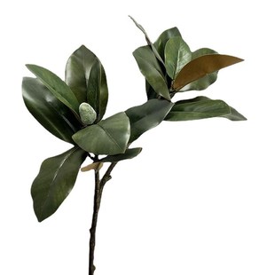 工厂仿真玉兰花苞仿真玉兰叶绿色叶子仿真植物仿真树配材