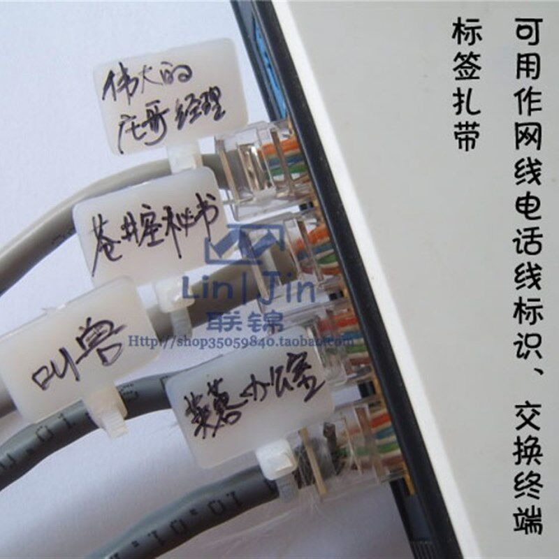 尼龙标签扎带 足量100条 标牌网络布线记号 网线标识捆绑2包赠笔