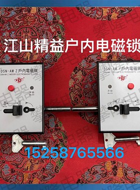 江山精益 DSN-AMY户内电磁锁 DSN-AMY高压柜用户内电磁锁DSN-AMZ