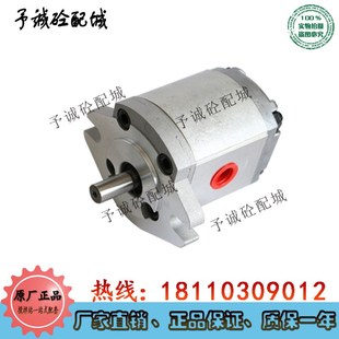 维东威盾WDKM液压泵站齿轮泵液压油泵配件三一卸料门液压站齿轮泵