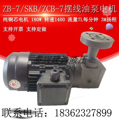 防爆油泵ZB-7/SKB-7转子式油泵电机ZCB-7减速机循环泵180W YS6324