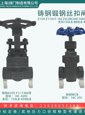 铸钢锻钢内螺纹闸阀Z15H Z11H/Y-16C-420C高温高压丝扣美标800LB