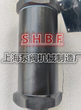 上海贝亭安全阀BTA-22C300C2 制冷剂冷媒专用安全阀DN20 25