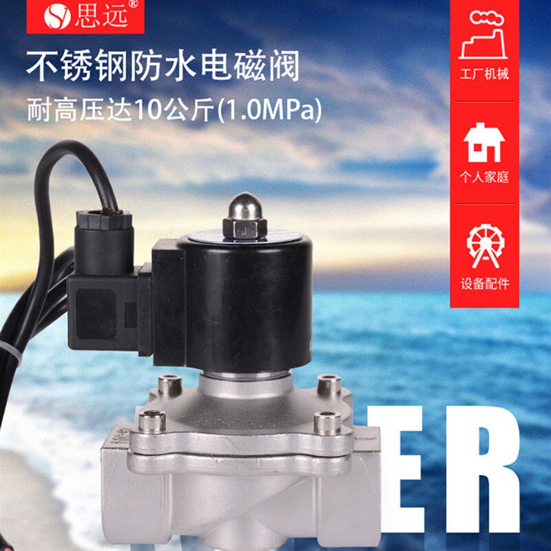 304不锈钢防水电磁阀2A15 4分电子控制开关水下喷泉室外220V24v