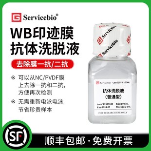 抗体洗脱液 blot 普通型 增强型 PVDF膜再生液 赛维尔 Western