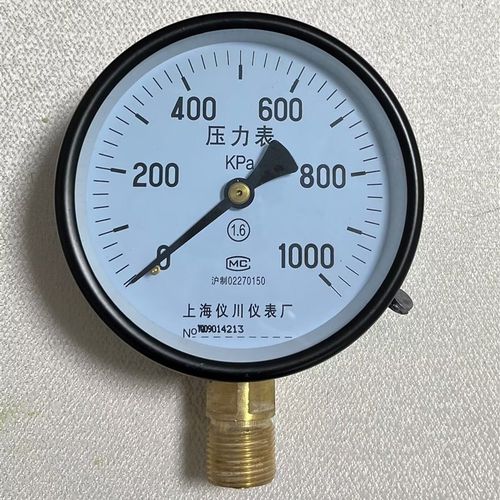 压力表直径100mm 0~1000kpa型号Y-100上海仪川仪表厂径向M20X1.5