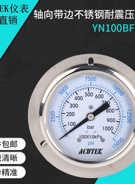 轴向带边不锈钢耐震压力表 原装出口 YN100BF-ZT 1000bar NPT1/2