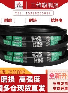 浙江三维防静电窄V带8V2600/8V3750/8V6604/8V6600/8V3550/8V9525