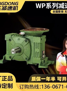 WPWDA WPWDS WPWDO WPWDX 40 50 -250蜗轮蜗杆齿轮箱带电机减速机