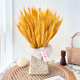 天然麦穗干燥花花束新店开业大麦祝福礼真花客厅摆设田园风装 饰摆