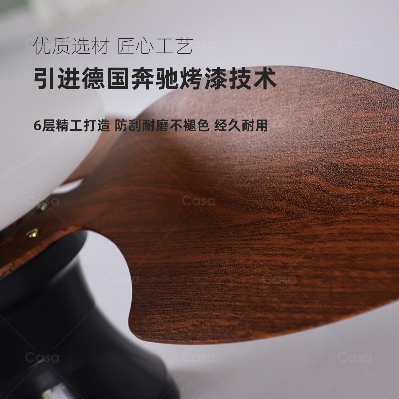 全光谱智能吸顶风扇灯卧室家用变频护眼吊扇灯北欧简约书房灯casa