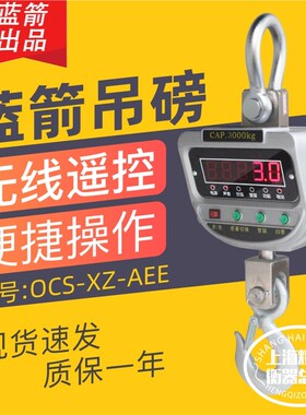 浙江蓝箭电子吊秤OCS-XZ-AAE直视式吊钩称挂秤行车秤电子吊磅吊称