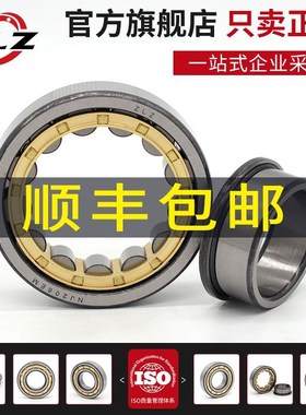 ZLZ圆柱滚子轴承NJ1012 1013 1014 1015NU1016 1017 1018 1019EM