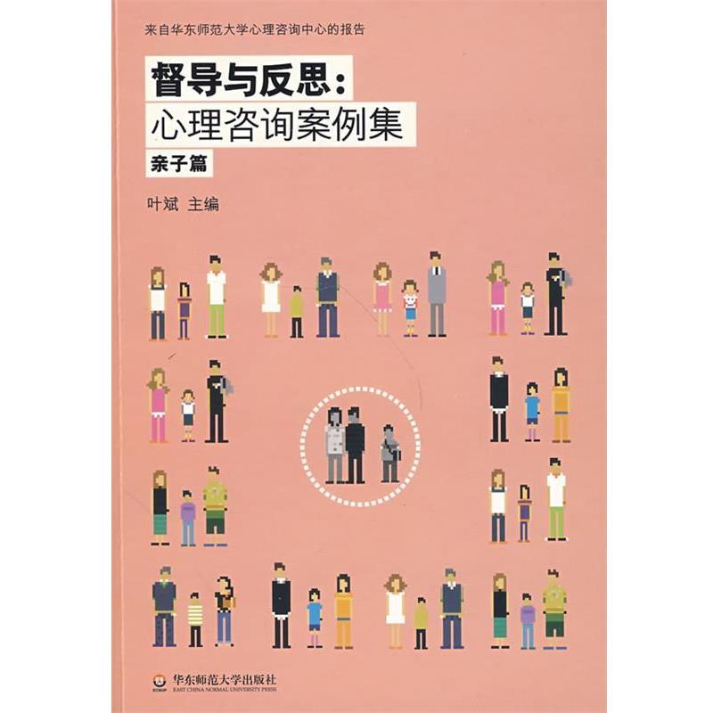 【正版书籍】 督导与反思:心理咨询案例集 叶斌 主编 华东师范大学出版社