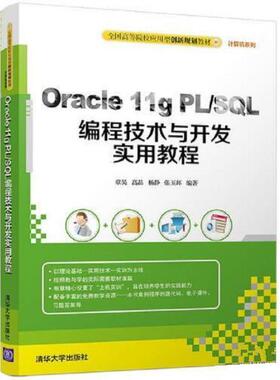 【正版书籍】 Oracle 11g PL SQL编程技术与开发实用教程 章昊 清华大学出版社