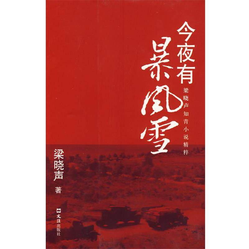 【正版书籍】 梁晓声-今夜有暴风雪 梁晓声 文汇出版社