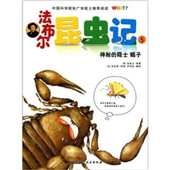 【正版书籍】 法布尔昆虫记 [韩] 金春玉 著 李明淑 译 [韩] 金成荣 绘 北京科学技术出版社