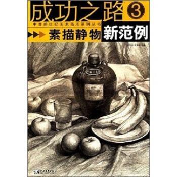 【正版书籍】 素描静物-新范例3 李国中,王海强 中国青年出版社