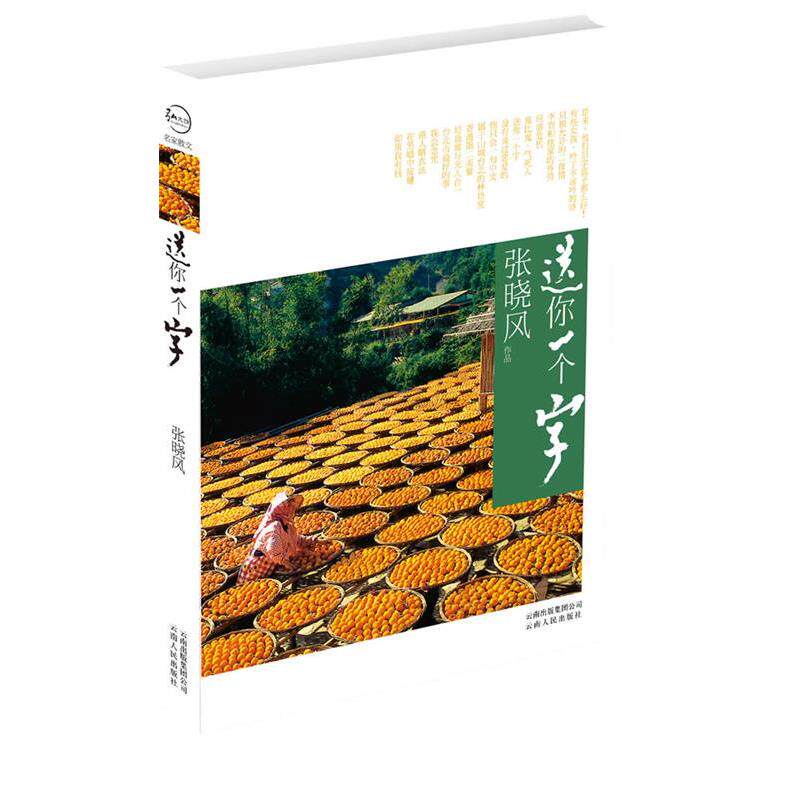 【正版书籍】 送你一个字 张晓风 著 云南人民出版社