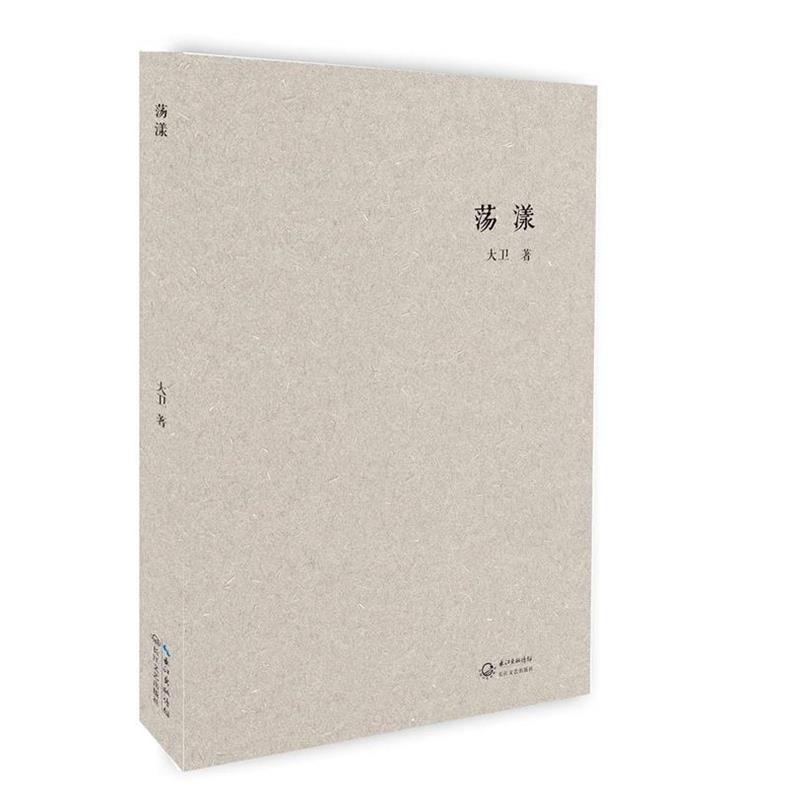 【正版书籍】 荡漾 大卫 长江文艺出版社