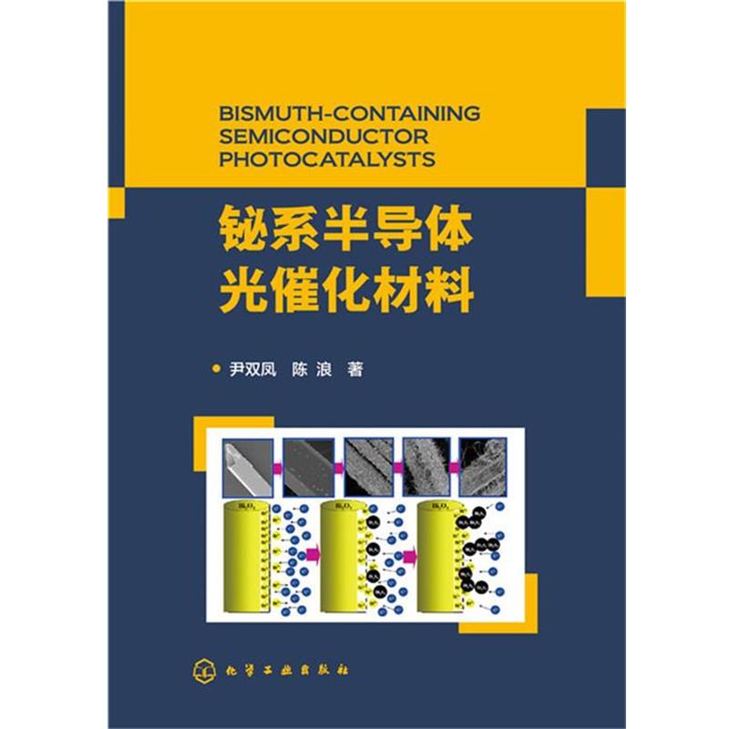 【正版书籍】 铋系半导体光催化材料 尹双凤,陈浪 化学工业出版社
