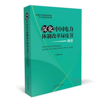 【正版书籍】 深化中国电力体制改革绿皮书纲要 武建东　主编 光明日报出版社