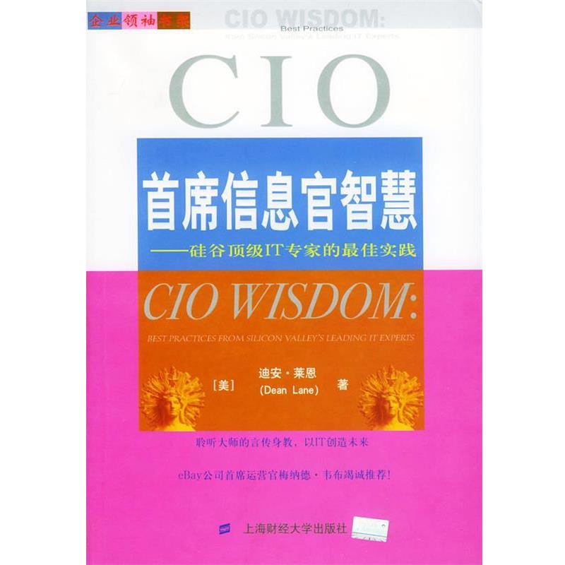 【正版书籍】 首席信息官智慧：硅谷IT专家的实践——企业书架 [美]迪安·莱恩(DeanLane),戴伟辉 上海财经大学出版社