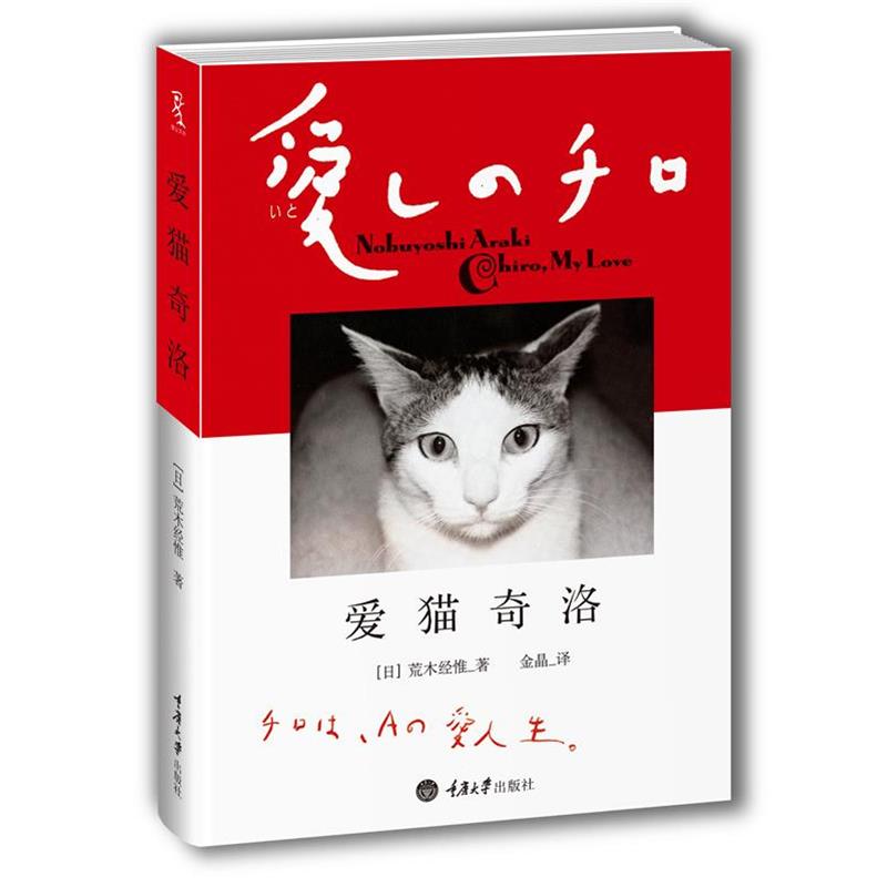 【正版书籍】 爱猫奇洛 [日]荒木经惟 著,金晶　译 重庆大学出版社