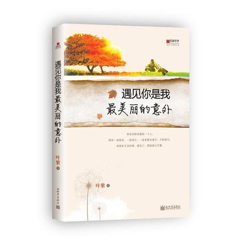 【正版书籍】 遇见你是我丽的意外 叶紫著 新世界出版社