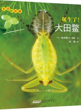 【正版书籍】 生命的故事 第3辑:诞生了！大田鳖 松泽阳士,彭懿 安徽教育出版社