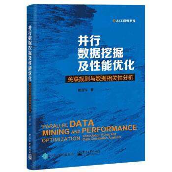 【正版书籍】 并行数据挖掘及性能优化：关联规则与数据相关性分析 荀亚玲 著 电子工业出版社