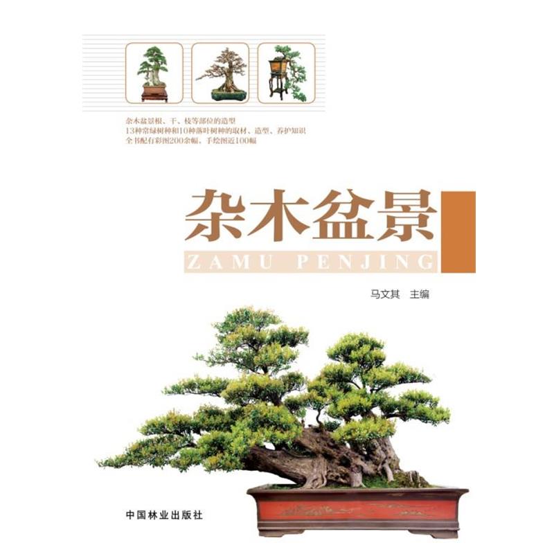 【正版书籍】 杂木盆景 马文其 著 中国林业出版社