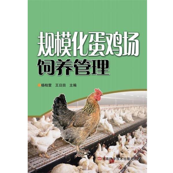 【正版书籍】 规模化蛋鸡场饲养管理 杨柏萱,王日田 河南科学技术出版社