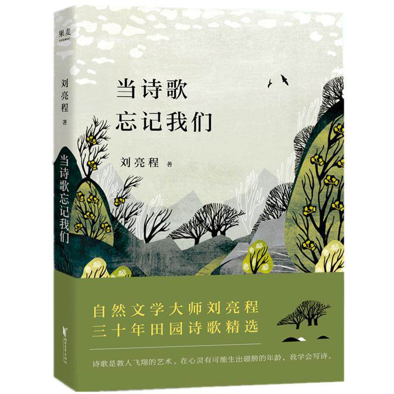 【正版书籍】 当诗歌忘记我们 刘亮程 浙江文艺出版社