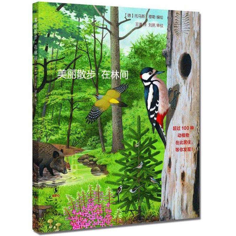【正版书籍】 美丽散步-在林间 (德)托马斯·穆勒 著,王潇 译,刘夙 审校 海豚出版社