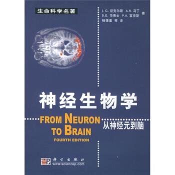 【正版书籍】 神经生物学：从神经元到脑 [美]尼古尔斯（NichollsJ.G.）,杨雄里等 科学出版社