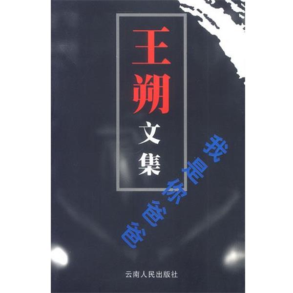 【正版书籍】 王朔文集:我是你爸爸 王朔 著 云南人民出版社