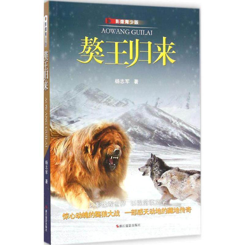 【正版书籍】 獒王归来:影像青少版 杨志军 浙江摄影出版社