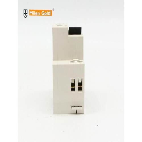 天津梅兰DPNGPNLE双进双出1P+N16A20A232A漏电保护断路器空气开