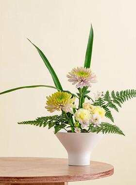 读途简约创意陶瓷花大口径客厅插花摆件桌面装饰苔藓球花盆造景