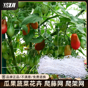 爬藤网百香果爬藤架种植网阳台攀爬网白色花网西瓜爬网丝瓜搭架网