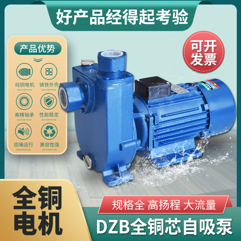 单相大功率自吸泵加强泵供水泵增压泵循环泵