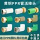 ppr活接头4分6分PPR管内丝接头热水器20热水管25管32热熔水管配件